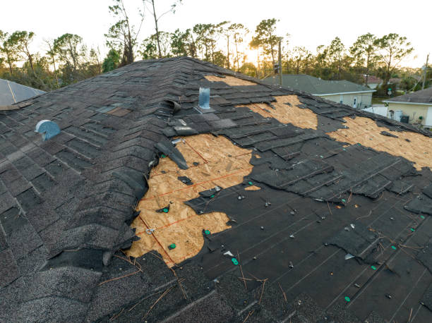 Best Rubber Roofing (EPDM, TPO)  in Beacon, NY